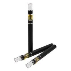 elyxr Bestseller (2)