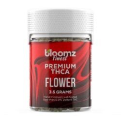 bloomz Bestseller