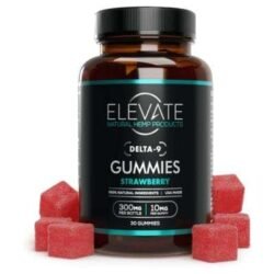 Elevateright Bestseller