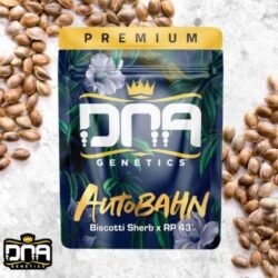 dnagenetics bestseller (1)
