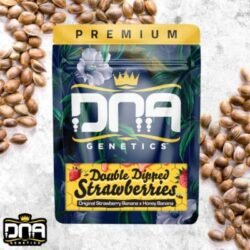 dnagenetics bestseller (2)