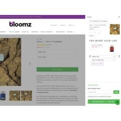 Bloomz Hemp Ccoupon Guide (1)