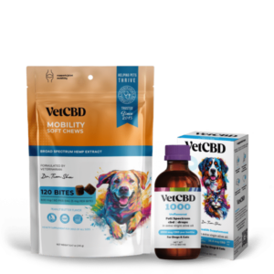 BIG Mobility Bundle 1000mg Tincture, 120 Count Mobility Chews for Dogs