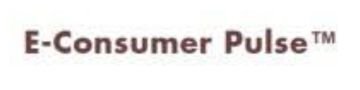 E-Consumer Pulse Logo
